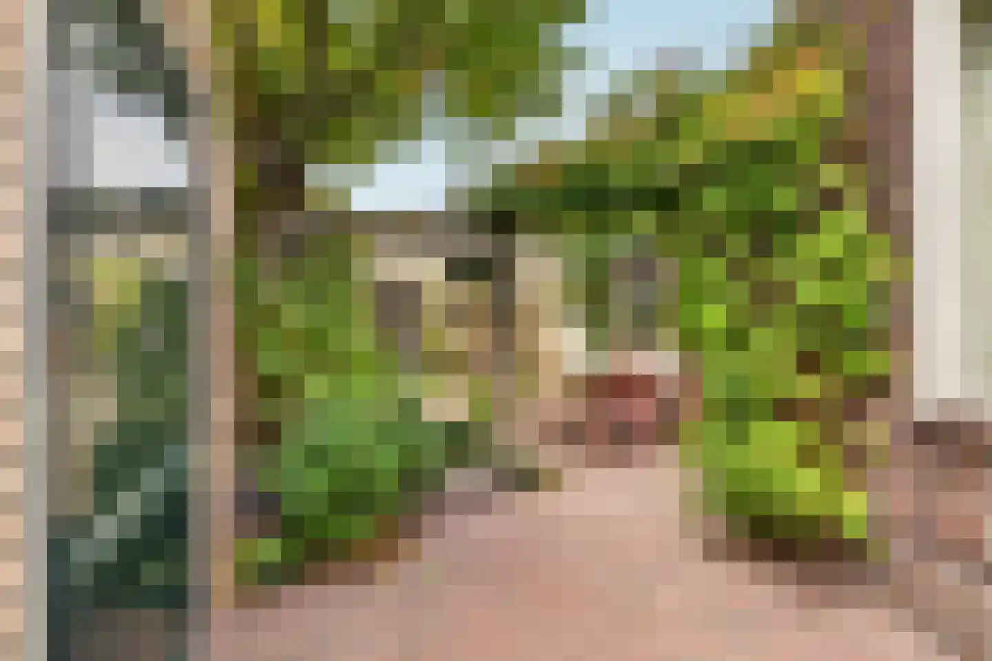 Gestelsestraat 256 C Eindhoven thumbnail 39