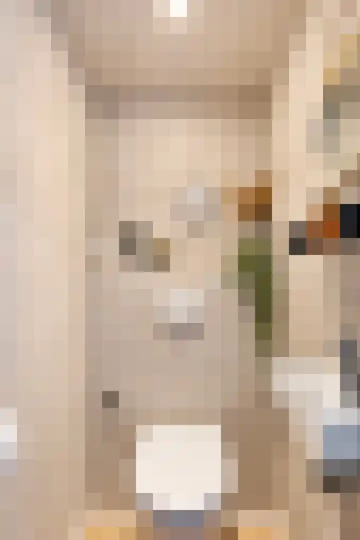 Gestelsestraat 38 Waalre thumbnail 14