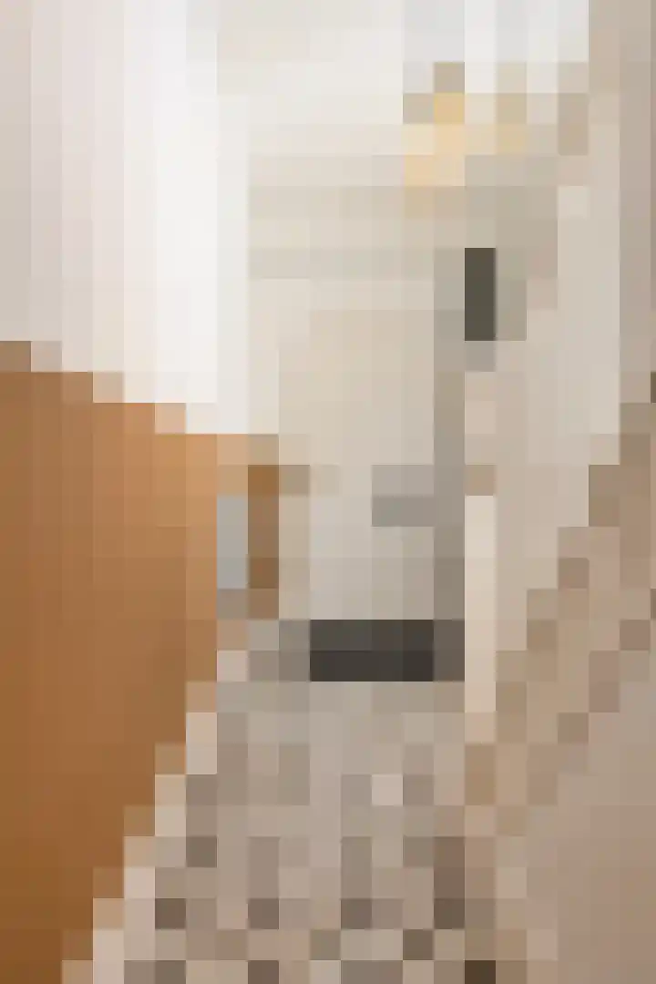 Gestelsestraat 38 Waalre thumbnail 16