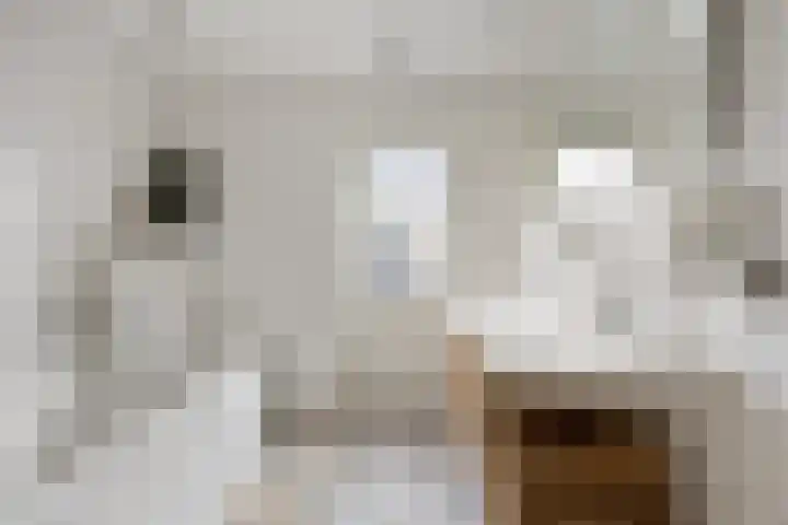 Gestelsestraat 38 Waalre thumbnail 20