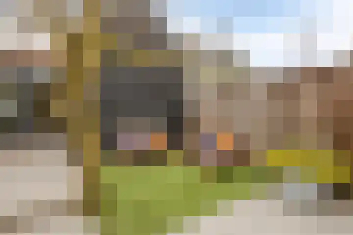 Gestelsestraat 38 Waalre thumbnail 27