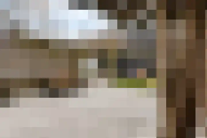 Gestelsestraat 38 Waalre thumbnail 28