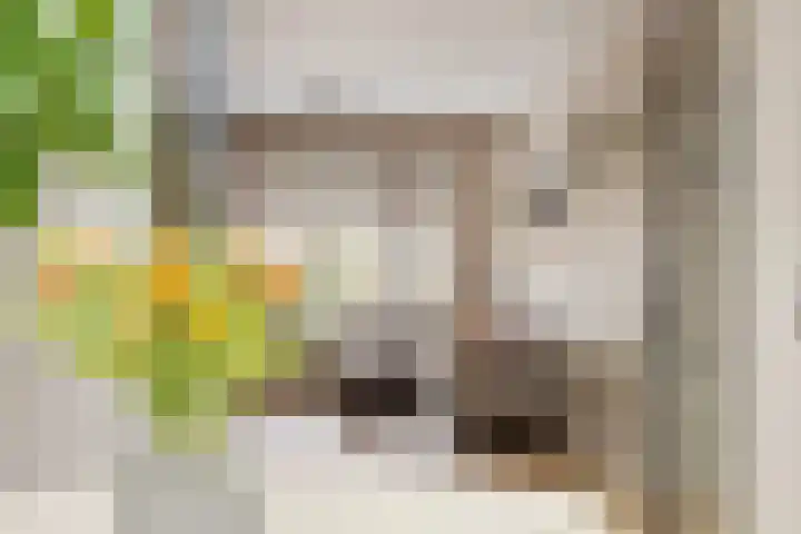 Gestelsestraat 38 Waalre thumbnail 6