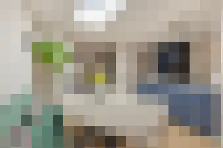 Gestelsestraat 38 Waalre thumbnail 8