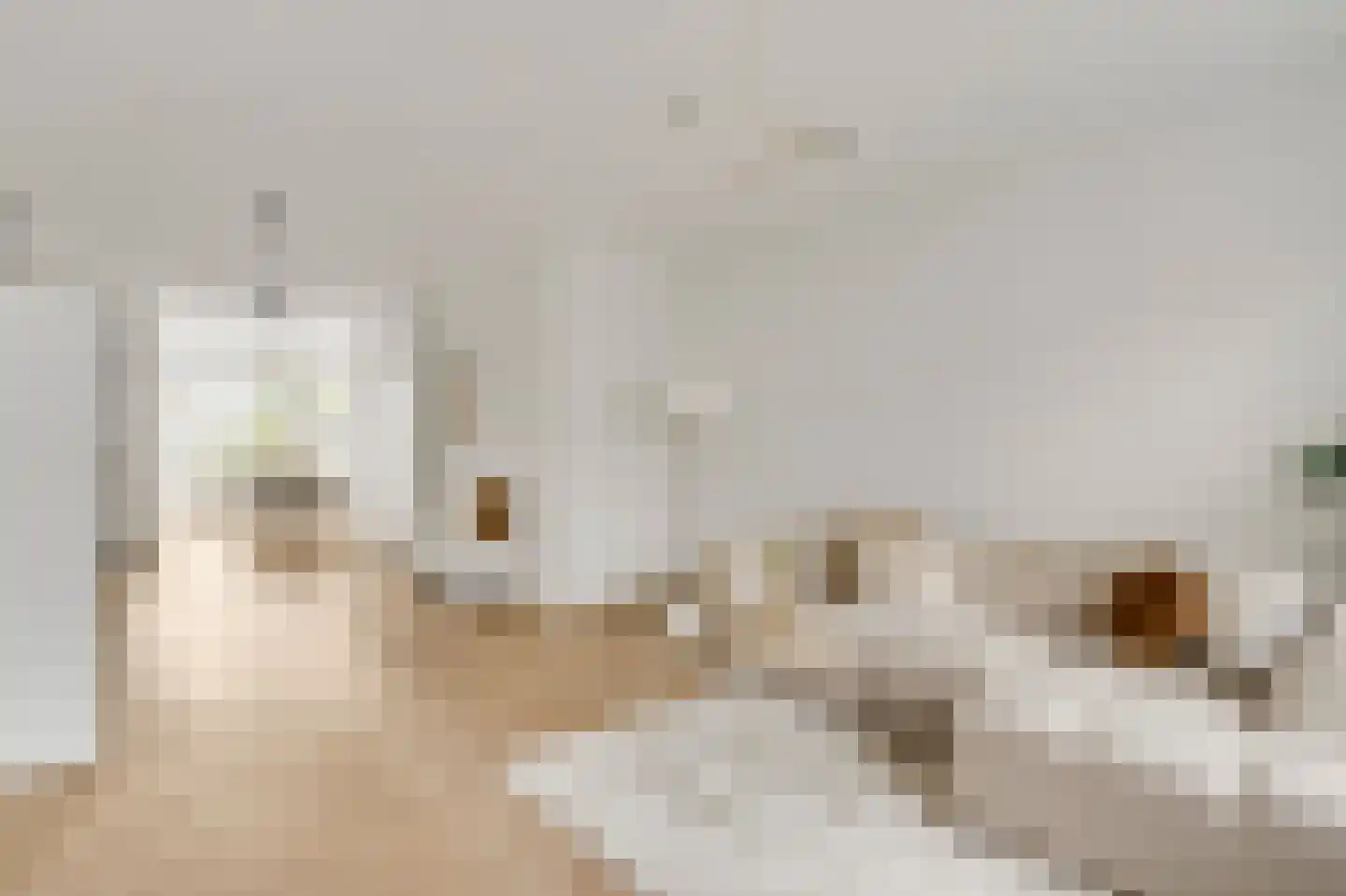 Gestelsestraat 43 C Eindhoven thumbnail 11