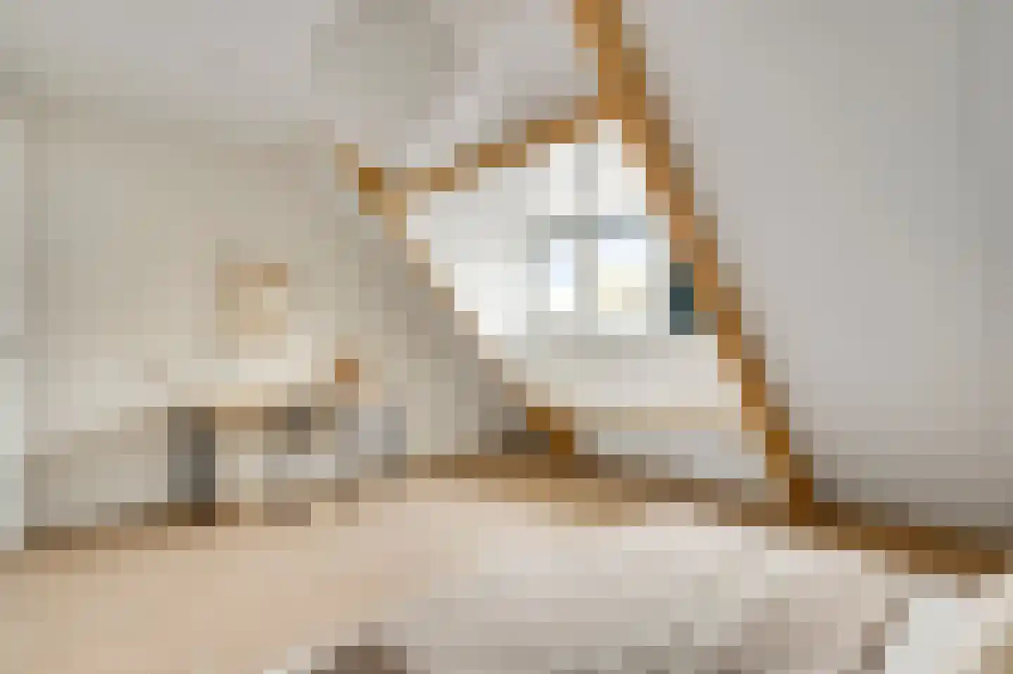 Gestelsestraat 43 C Eindhoven thumbnail 19