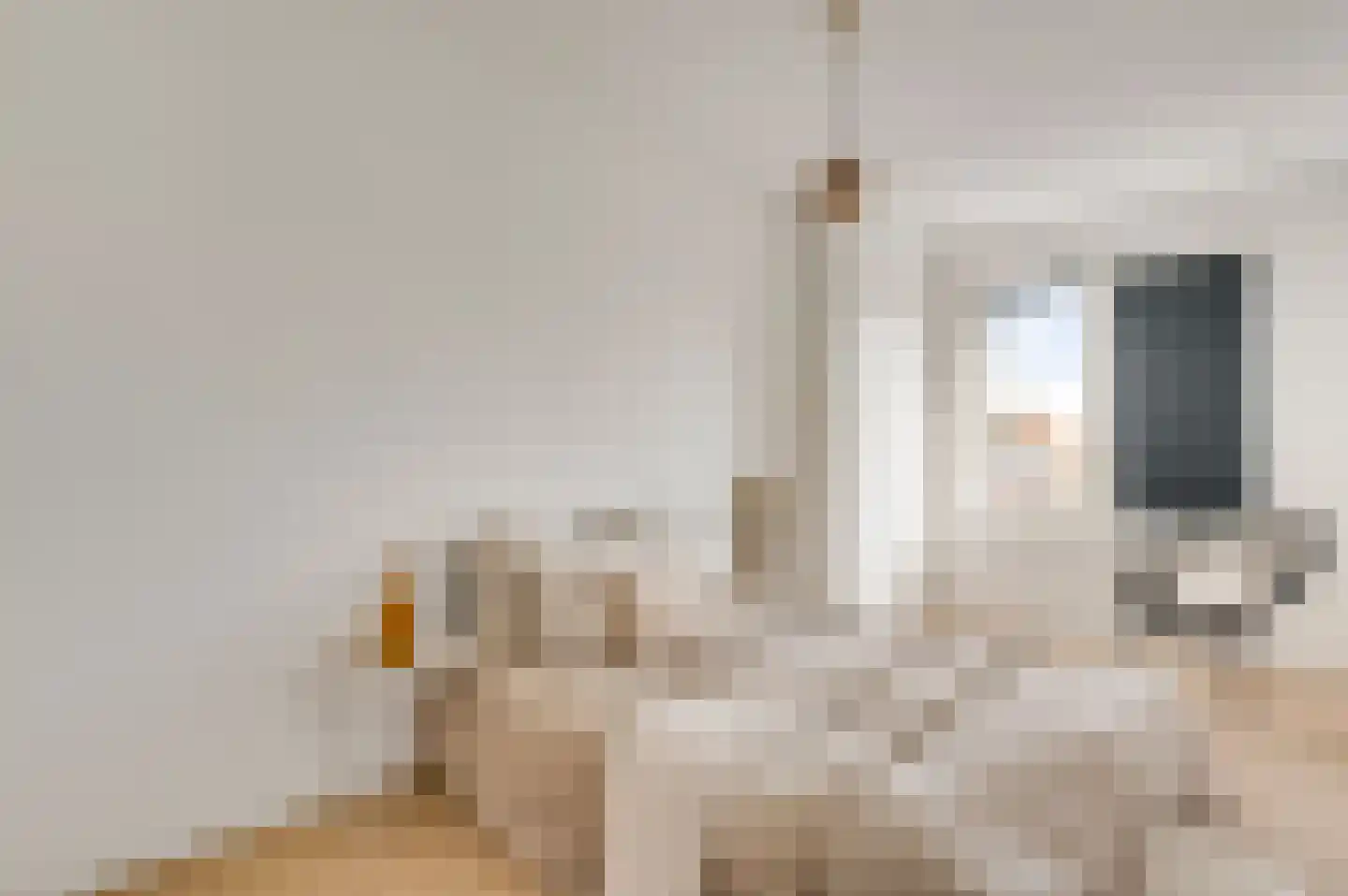 Gestelsestraat 43 C Eindhoven thumbnail 22