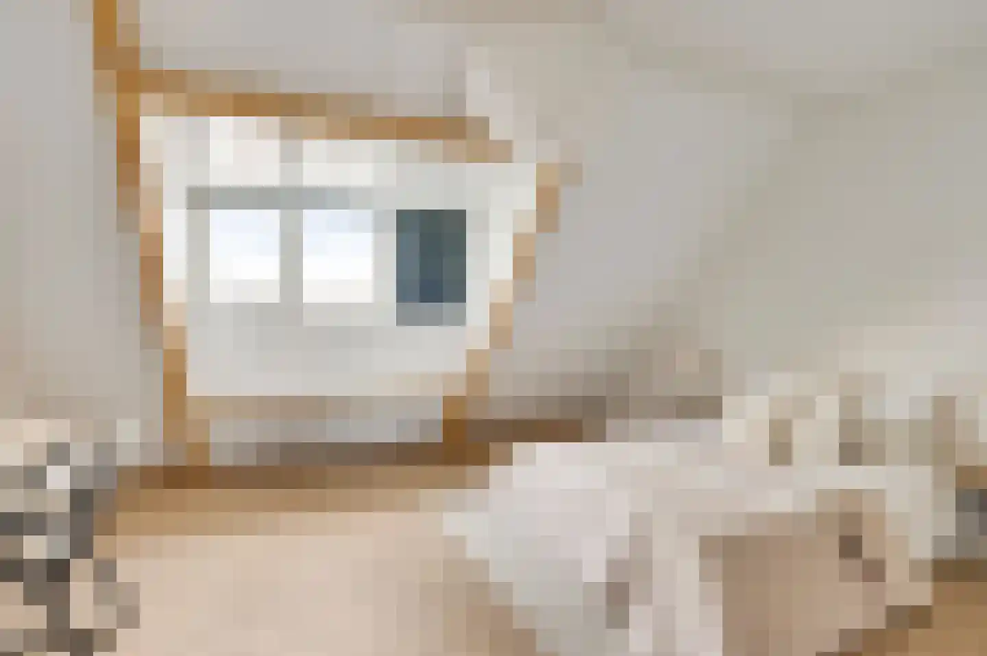Gestelsestraat 43 C Eindhoven thumbnail 4