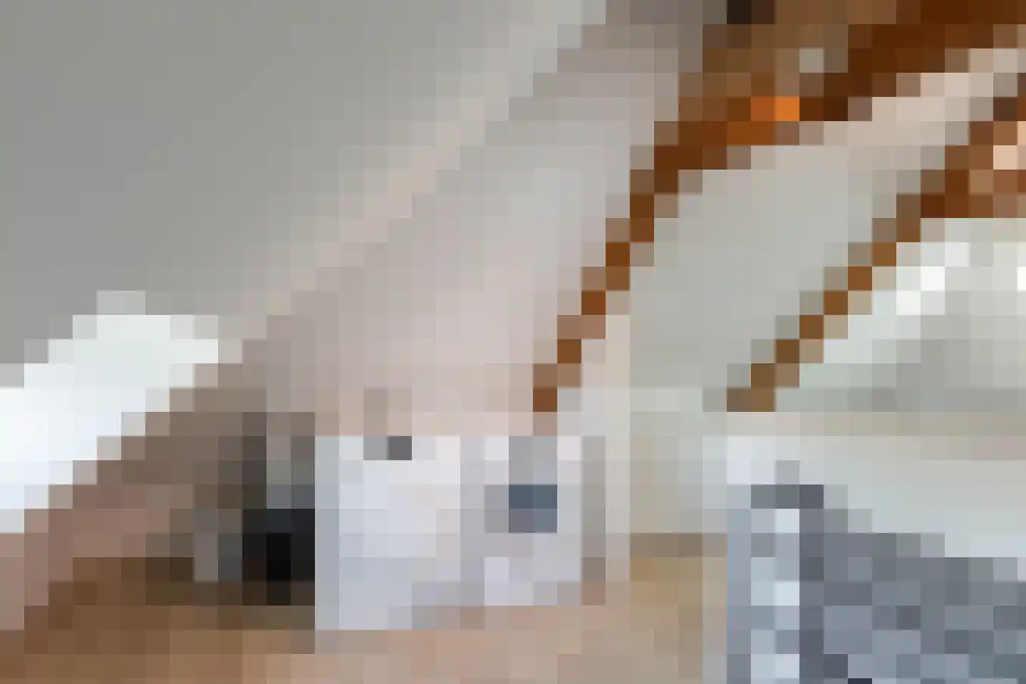 Gestelsestraat 46 Waalre thumbnail 48