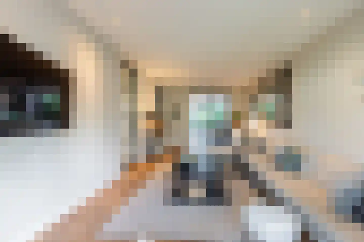 Gestelsestraat 46 Waalre thumbnail 6