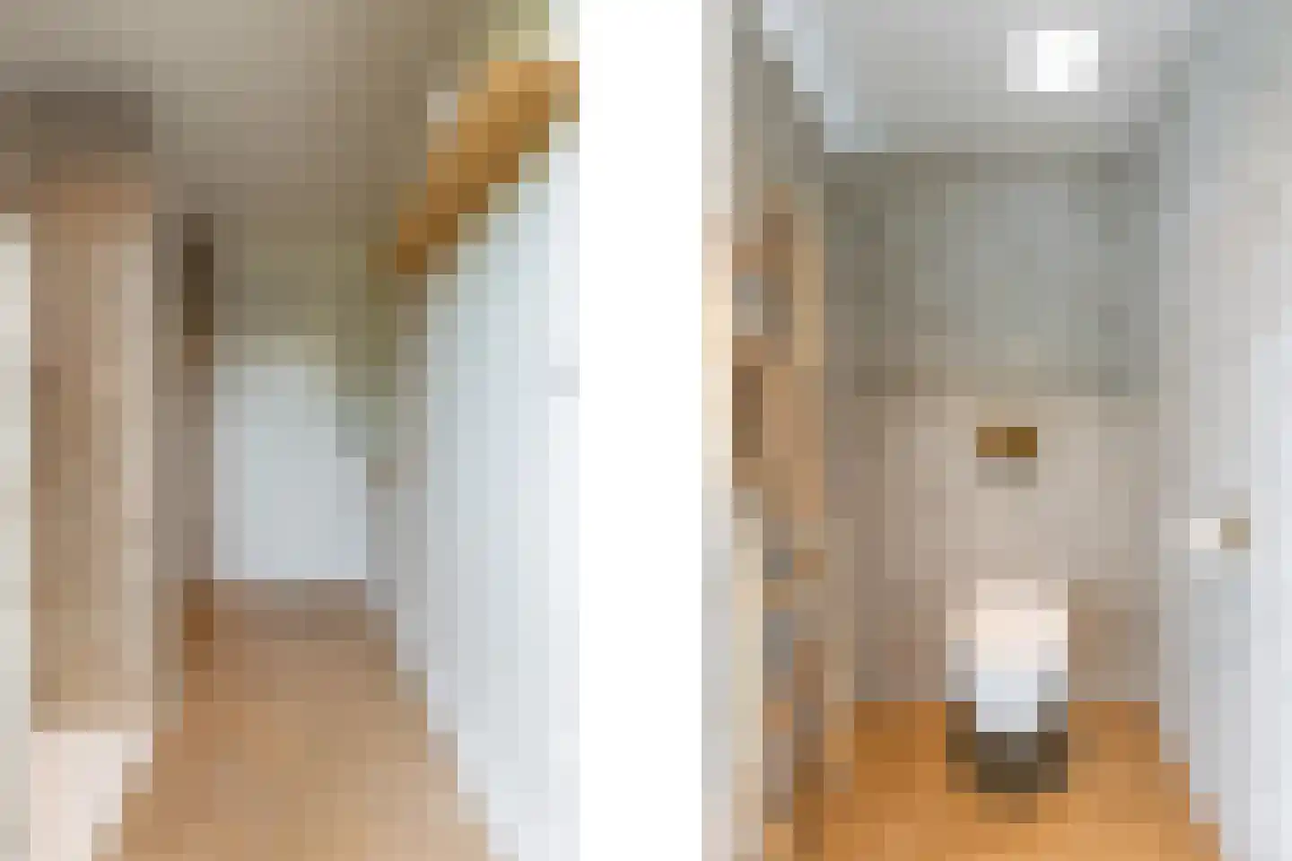 Gestelsestraat 46 Waalre thumbnail 63