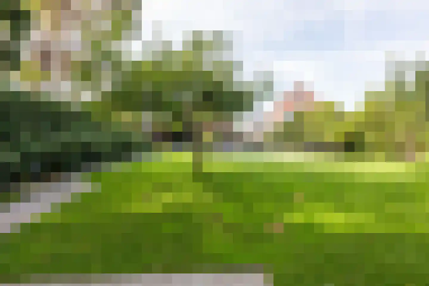 Gestelsestraat 46 Waalre thumbnail 66