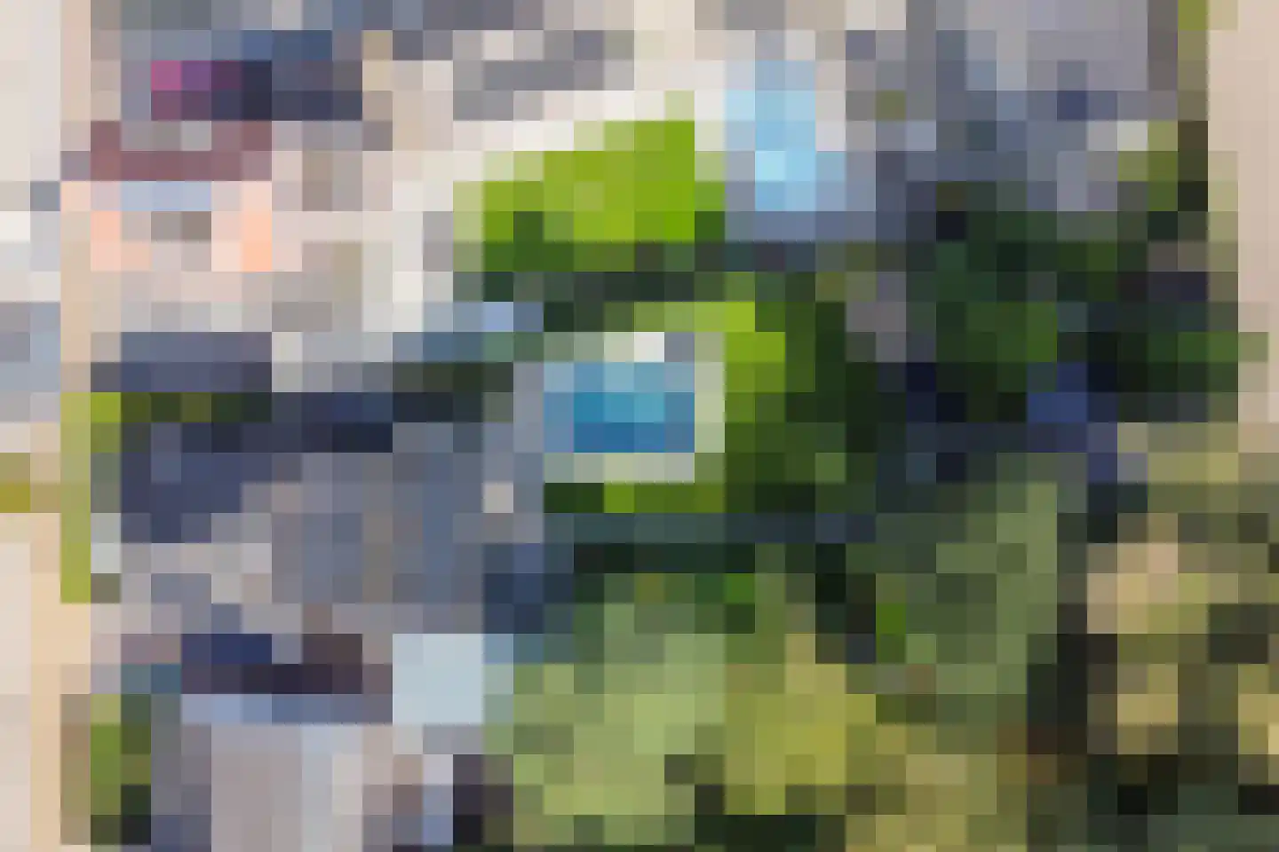 Gestelsestraat 46 Waalre thumbnail 70