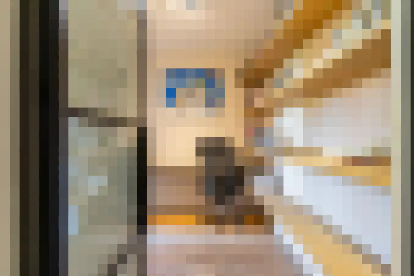 Gestelsestraat 46 Waalre thumbnail 9