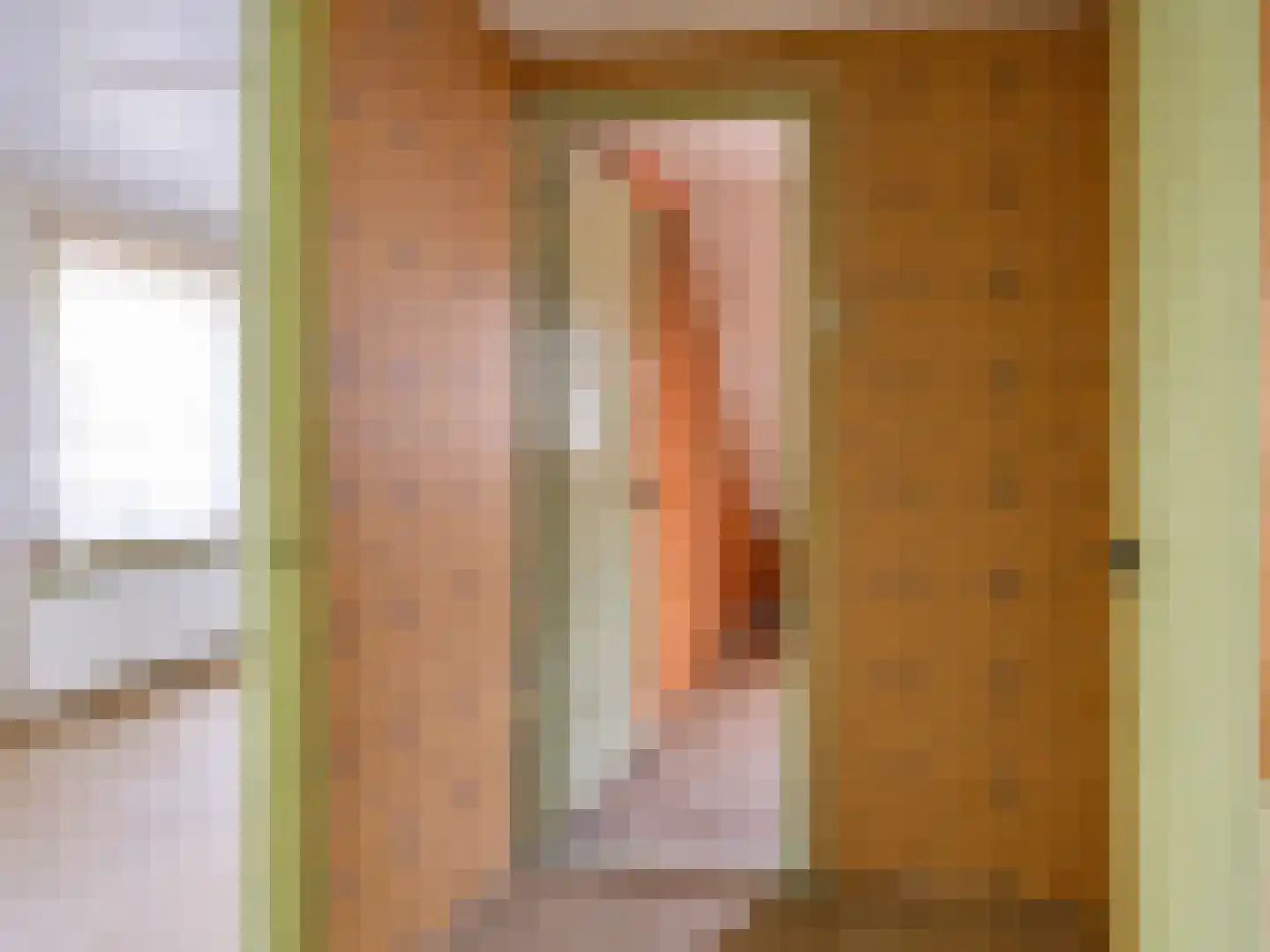 Gestelsestraat 57 Waalre thumbnail 7