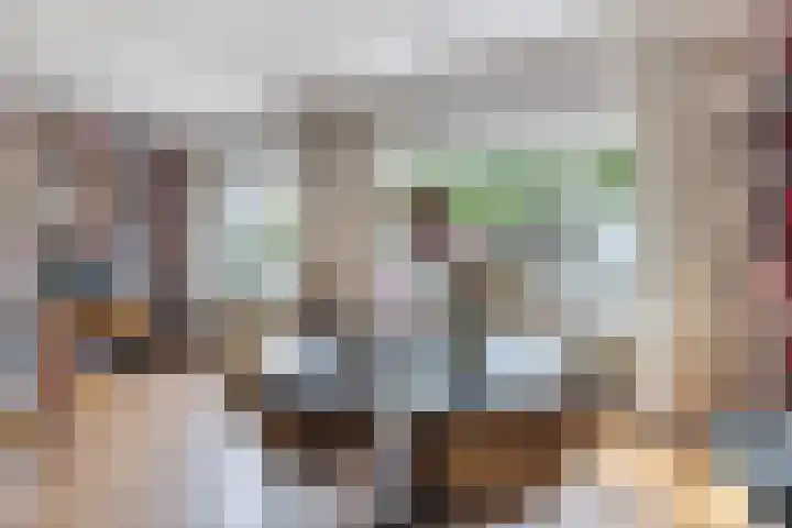 Gestelsestraat 58 Waalre thumbnail 14