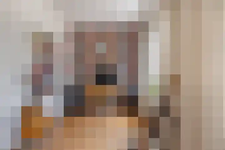 Gestelsestraat 58 Waalre thumbnail 15