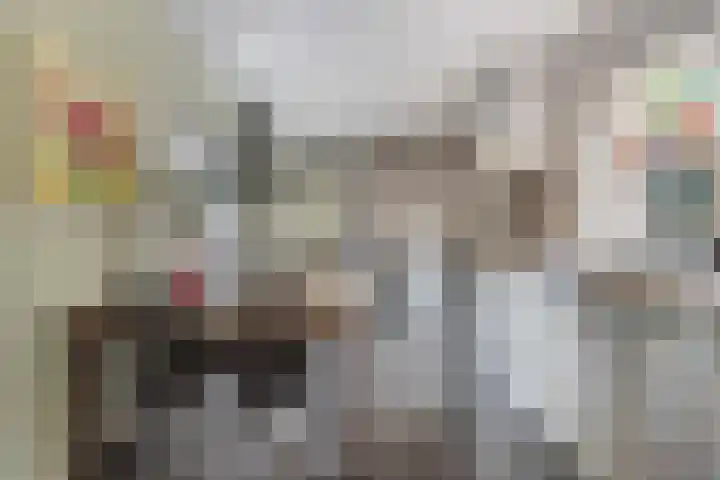 Gestelsestraat 58 Waalre thumbnail 18