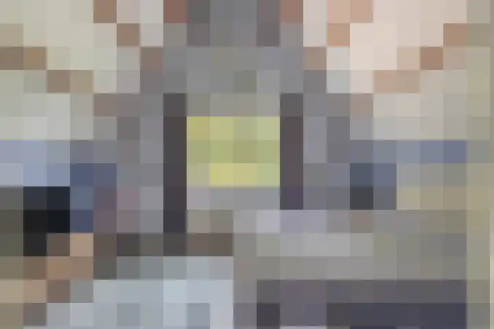 Gestelsestraat 58 Waalre thumbnail 22