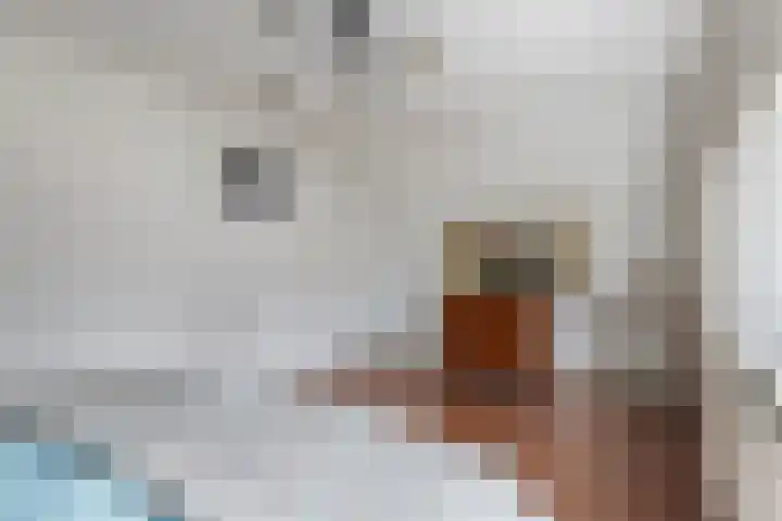 Gestelsestraat 58 Waalre thumbnail 25