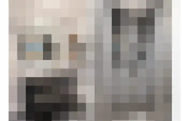 Gestelsestraat 58 Waalre thumbnail 29