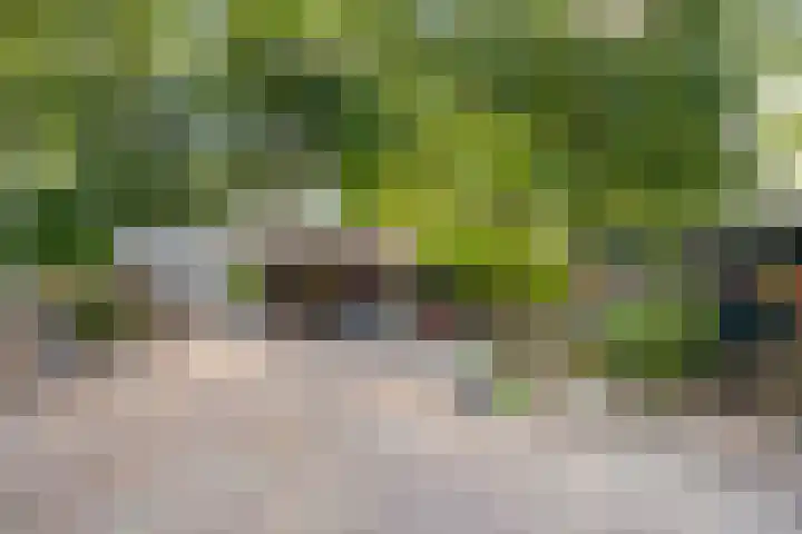 Gestelsestraat 58 Waalre thumbnail 31