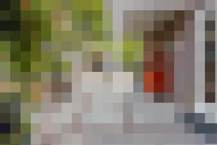 Gestelsestraat 58 Waalre thumbnail 32