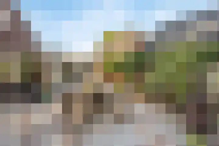 Gestelsestraat 58 Waalre thumbnail 34