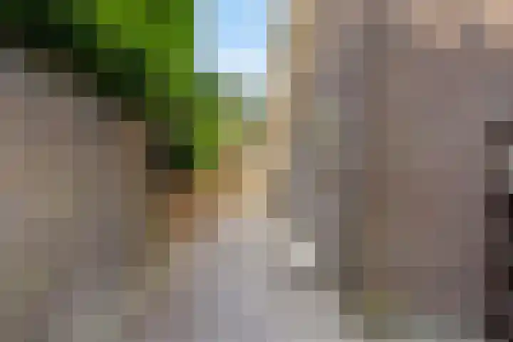 Gestelsestraat 58 Waalre thumbnail 35