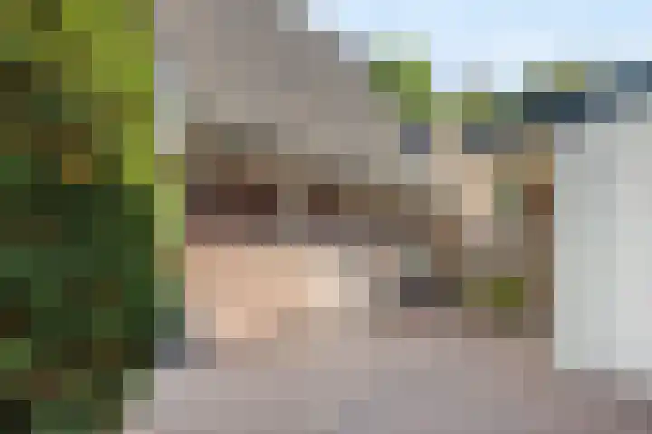 Gestelsestraat 58 Waalre thumbnail 4