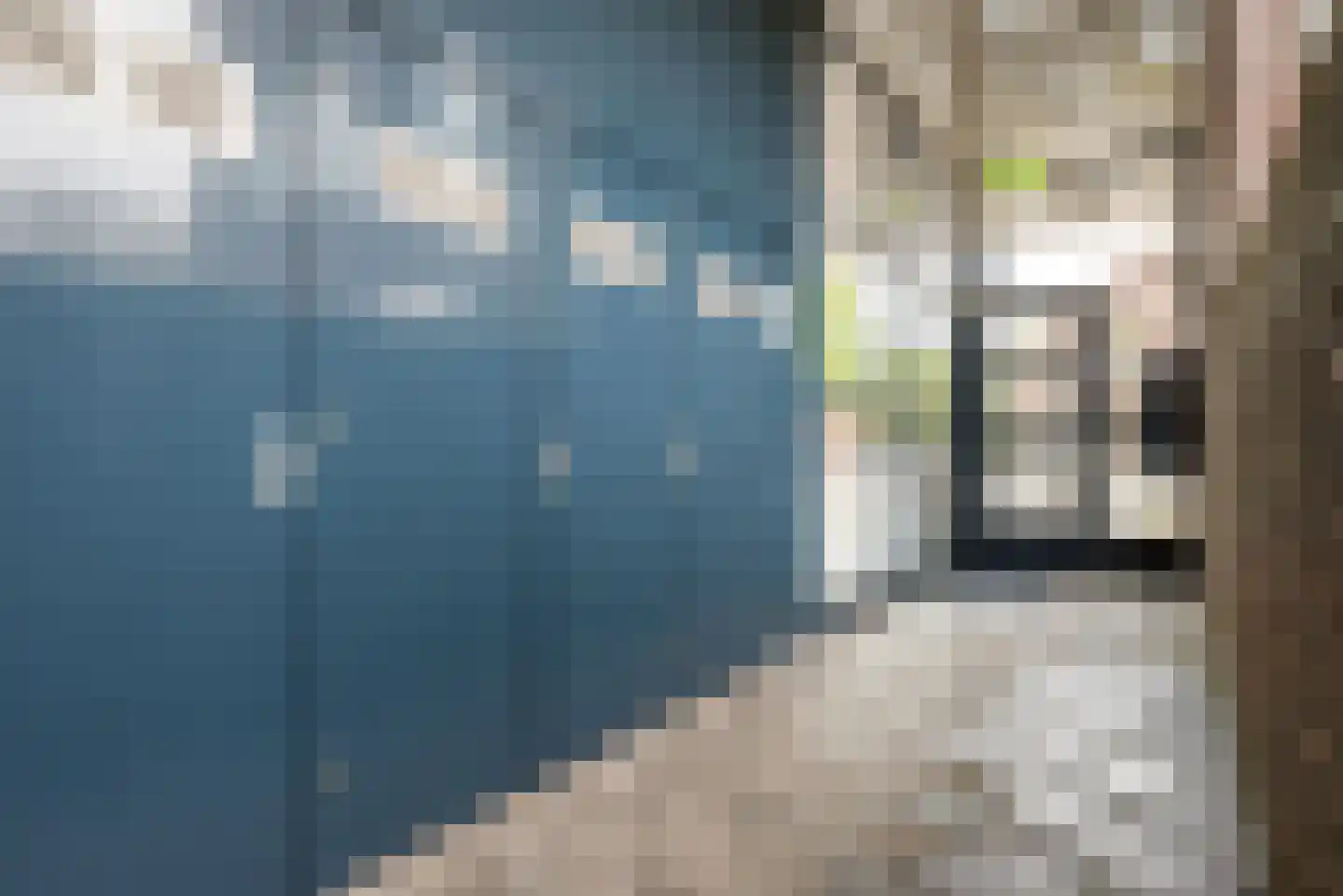Gestelsestraat 8 A Eindhoven thumbnail 28