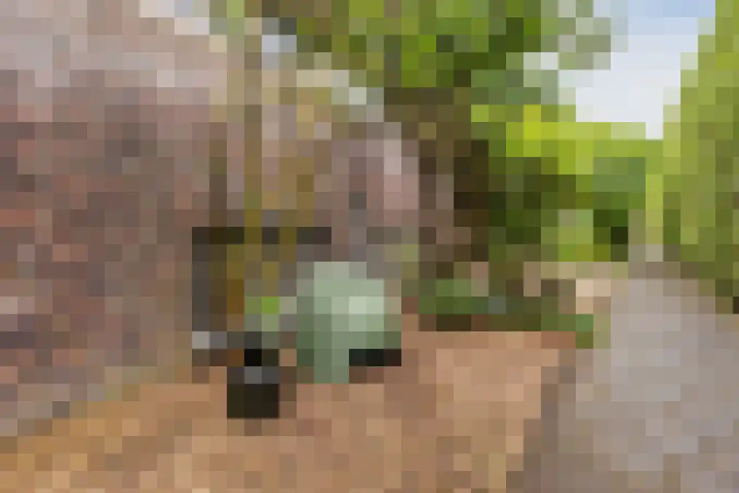Gestelsestraat 8 A Eindhoven thumbnail 7