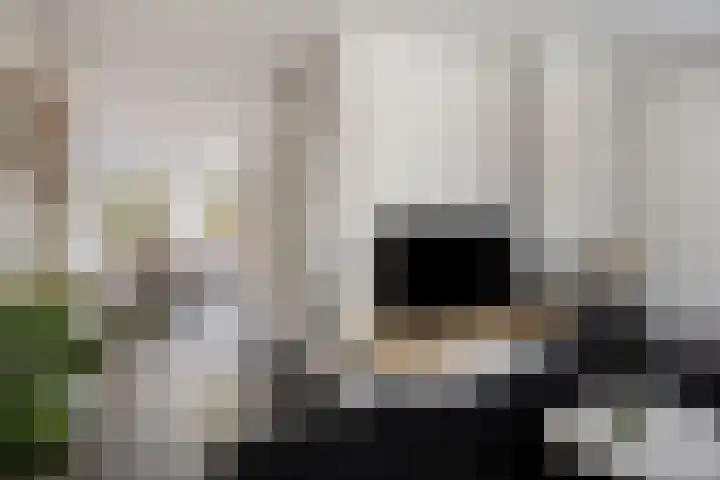 Gestelsestraat 81 Waalre thumbnail 12