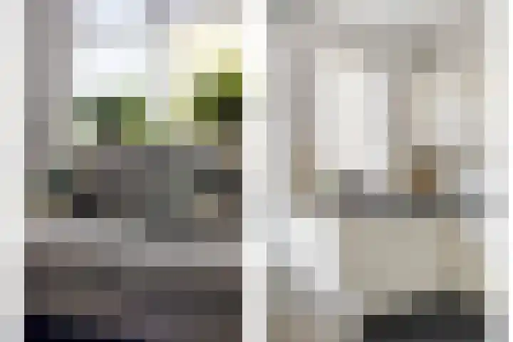 Gestelsestraat 81 Waalre thumbnail 14