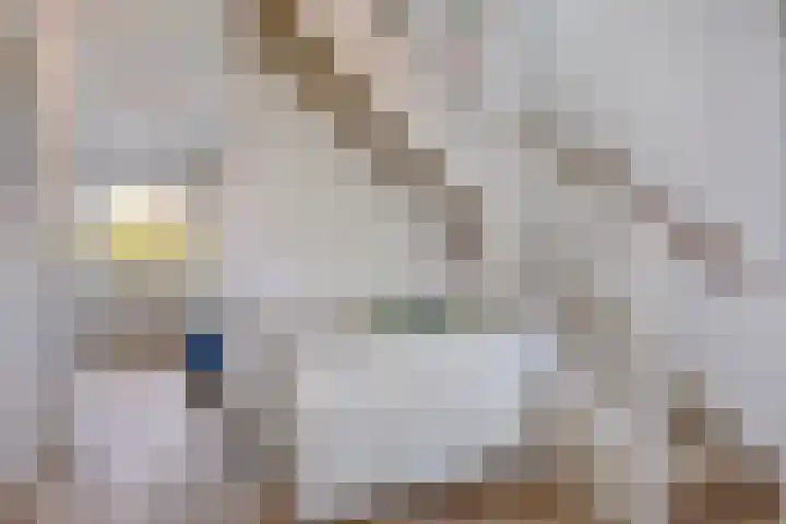 Gestelsestraat 81 Waalre thumbnail 27