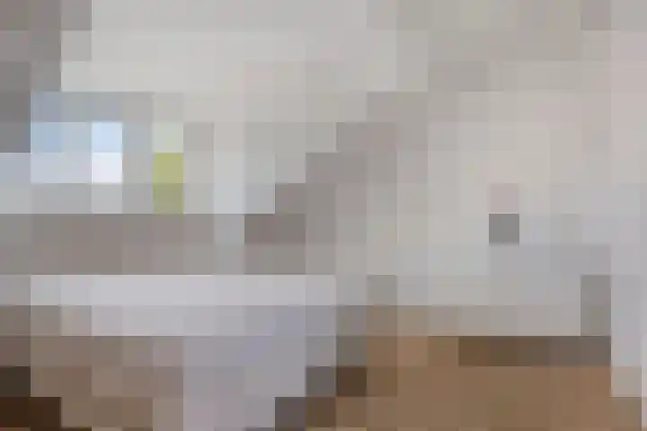 Gestelsestraat 81 Waalre thumbnail 31