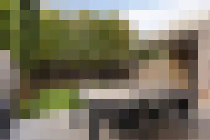 Gestelsestraat 81 Waalre thumbnail 33