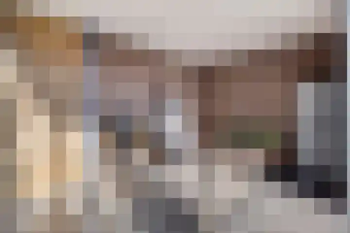 Gestelsestraat 81 Waalre thumbnail 34