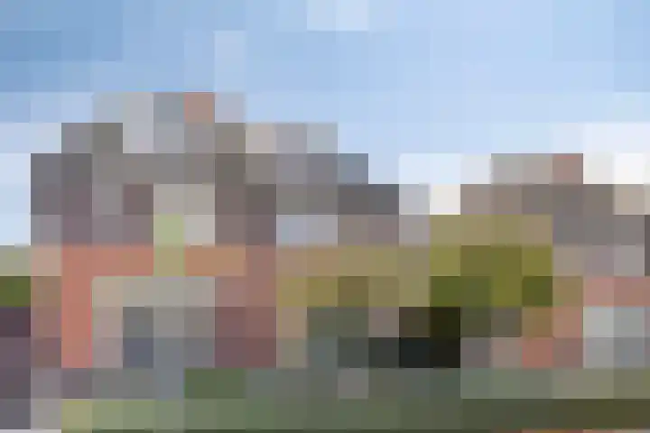 Gestelsestraat 81 Waalre thumbnail 38