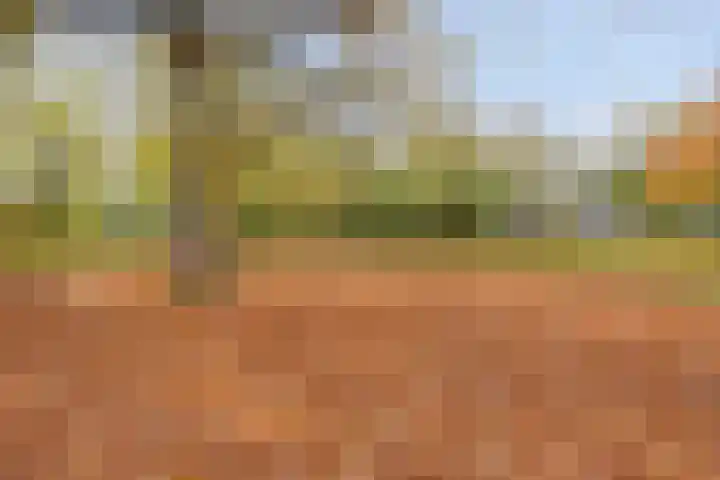 Gestelsestraat 81 Waalre thumbnail 4