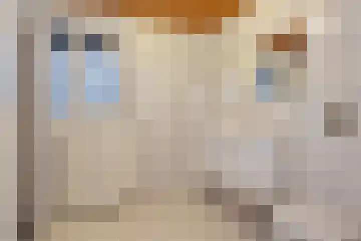 Gestraatje 22 Montfort thumbnail 18