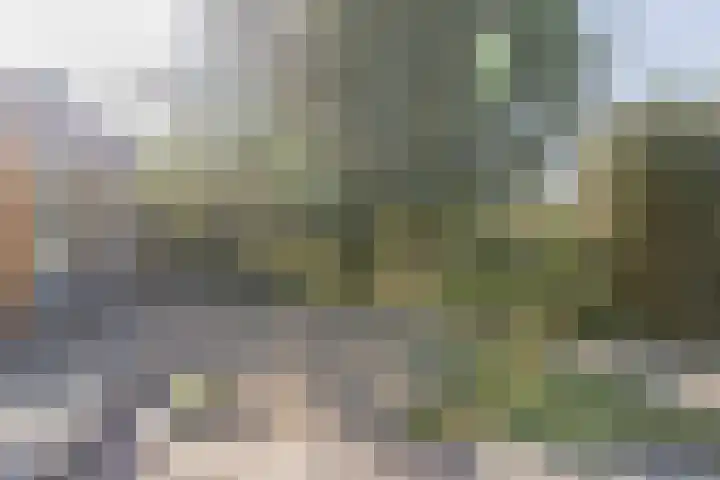 Gestraatje 22 Montfort thumbnail 44