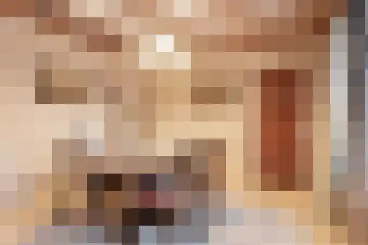 Gestraatje 22 Montfort thumbnail 6