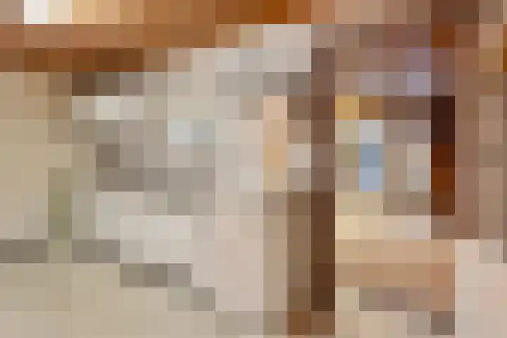 Gestraatje 22 Montfort thumbnail 8