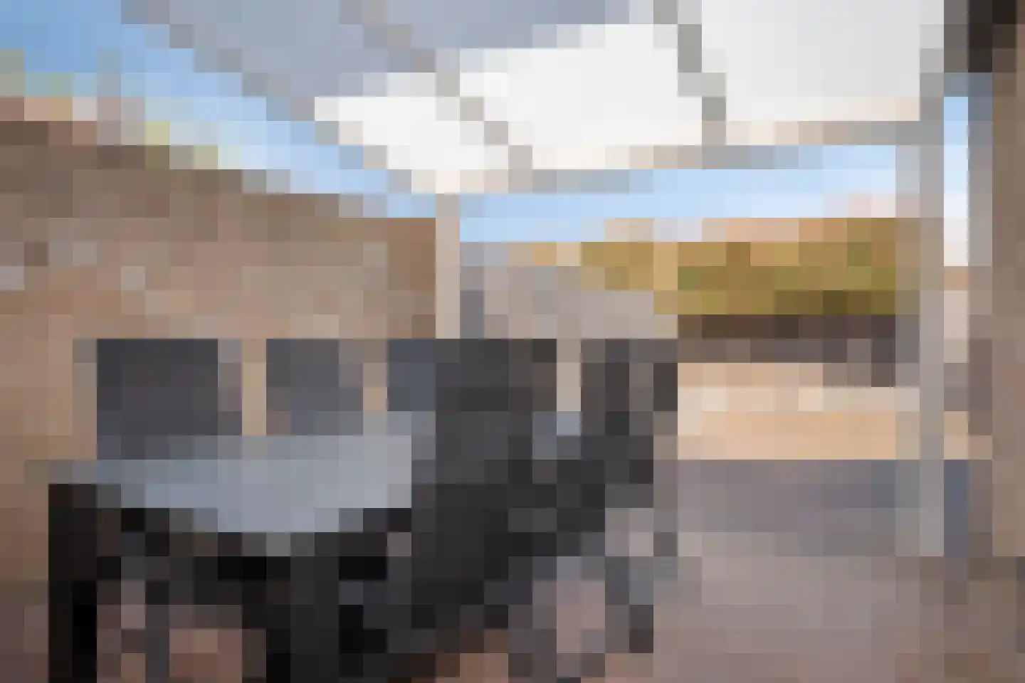Getelberg 15 Born thumbnail 29