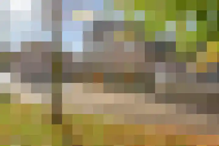 Getelberg 42 Born thumbnail 7