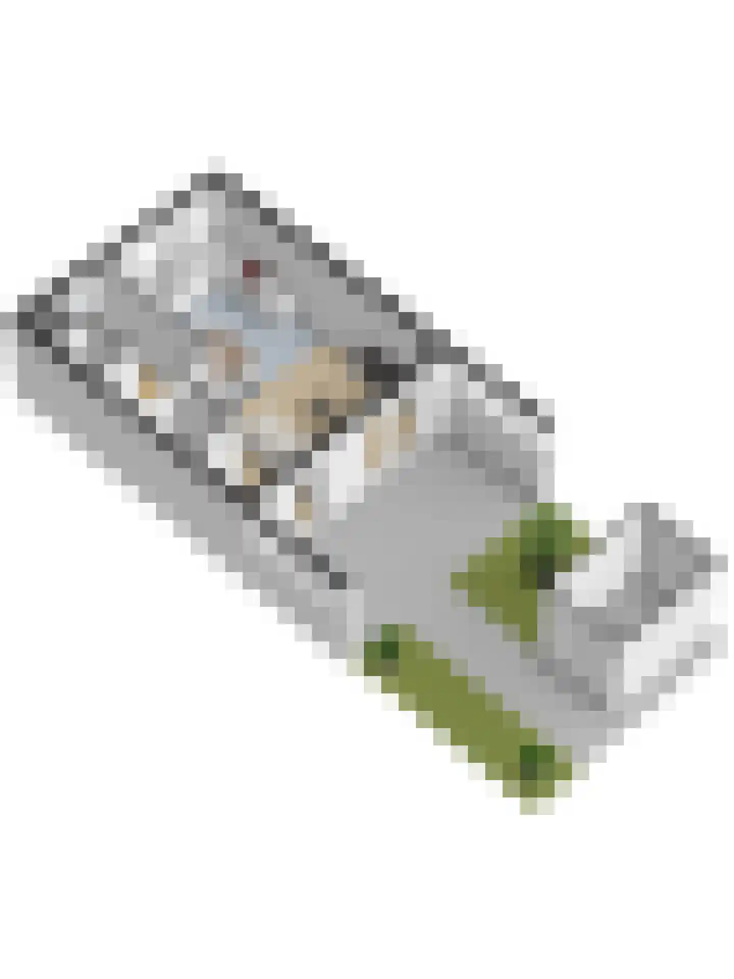 Getfertplein 64 Enschede thumbnail 38