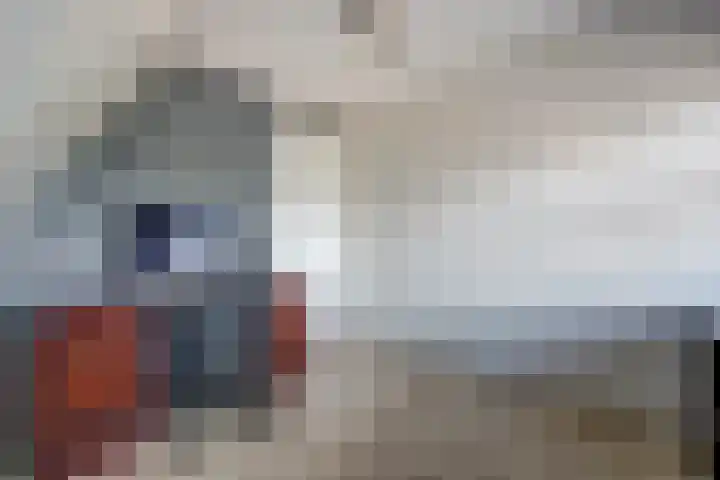 Getfertplein 76 Enschede thumbnail 16