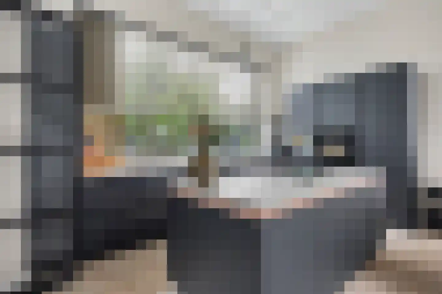 Getfertsingel 100 Enschede thumbnail 11