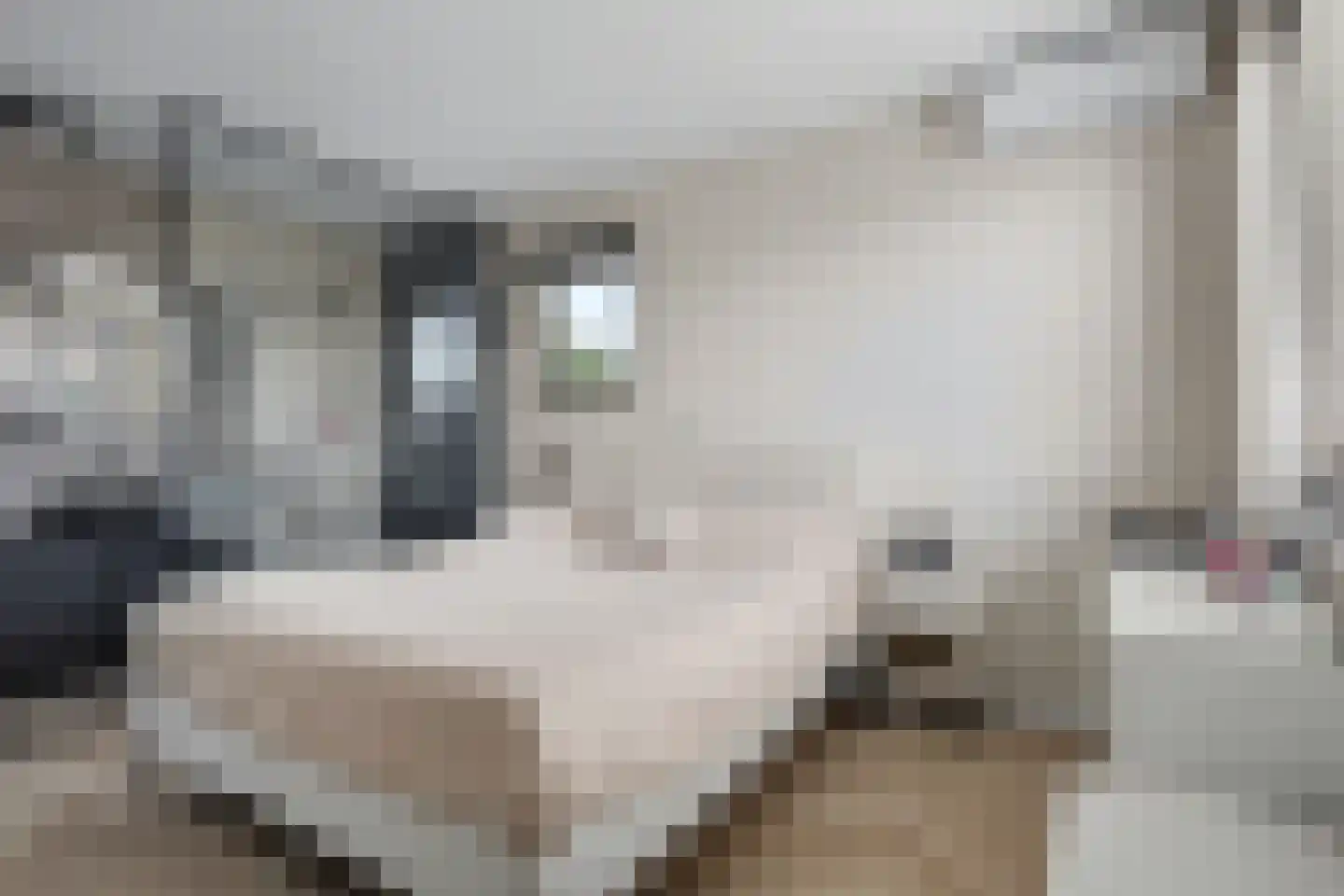 Getfertsingel 100 Enschede thumbnail 26